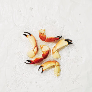 Tenazas de Cangrejo Moro Mediana