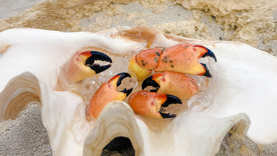 Por qué las tenazas de cangrejo moro son el platillo gourmet que no sabías que necesitabas