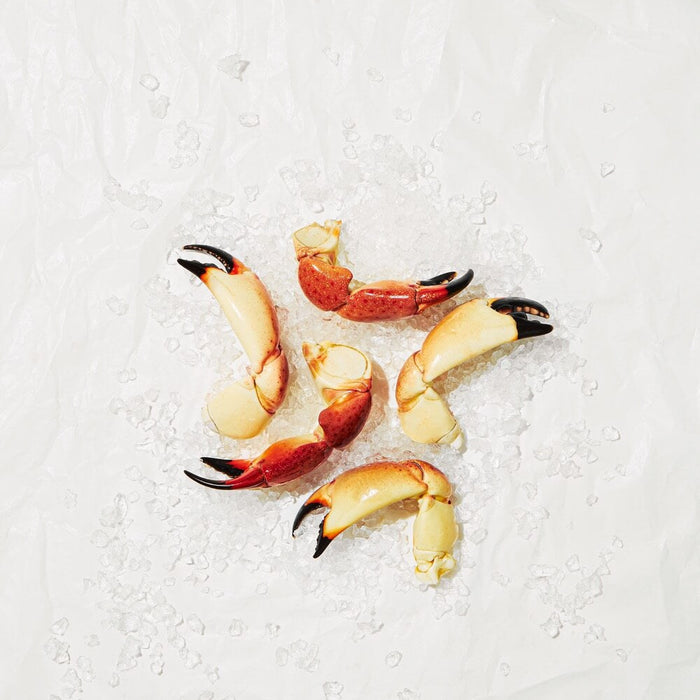 Image for Tenazas de Cangrejo Moro Mediana